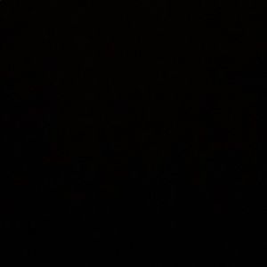 Meet your Posher, Belle